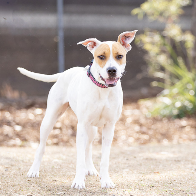 Photo of Marnie