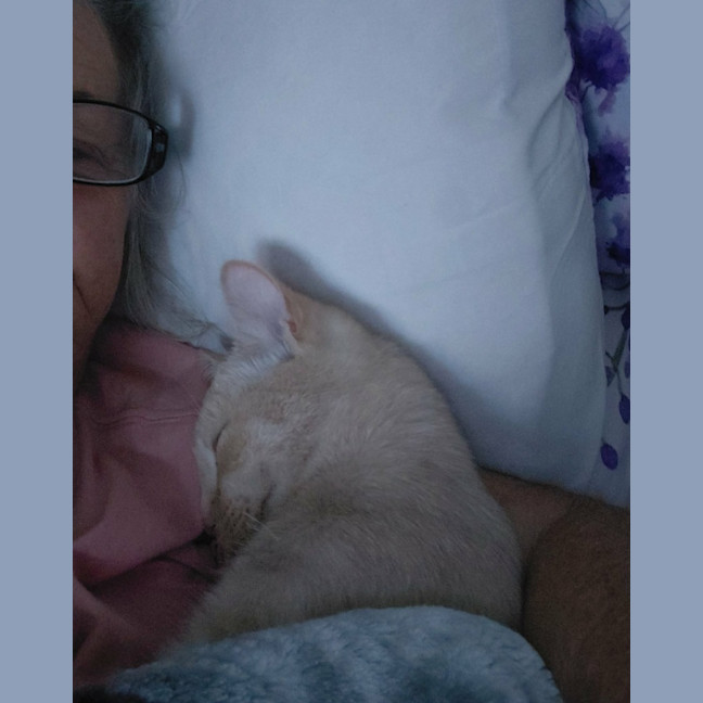 Photo of Molly