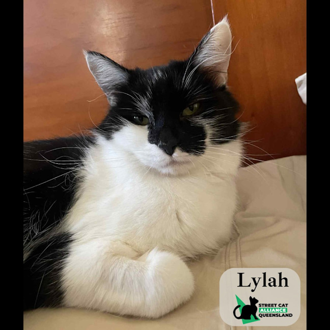 Photo of Lylah