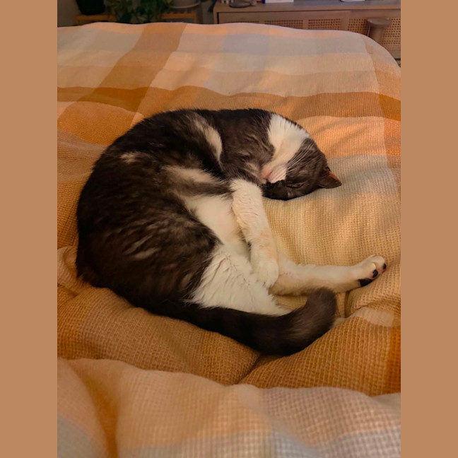 Photo of Maggie