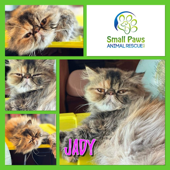 Photo of Jady