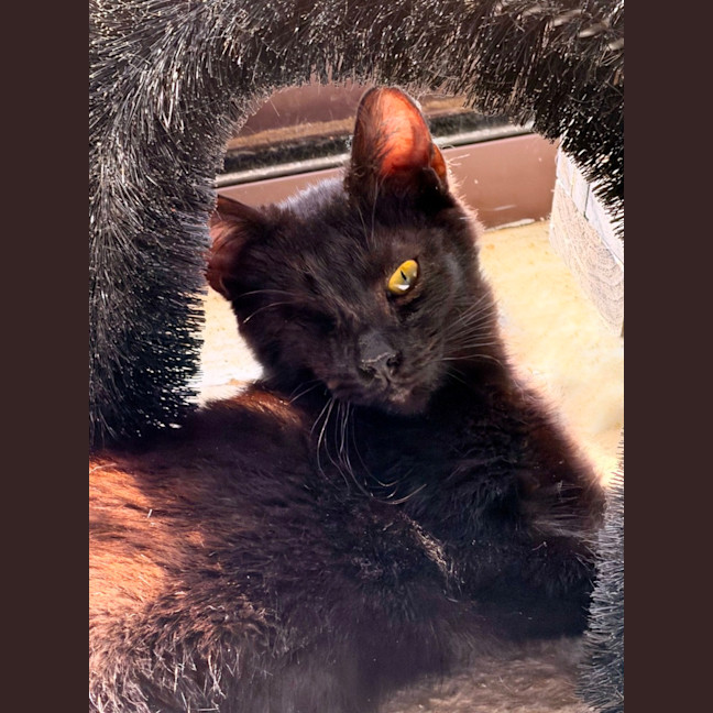 Photo of Popper