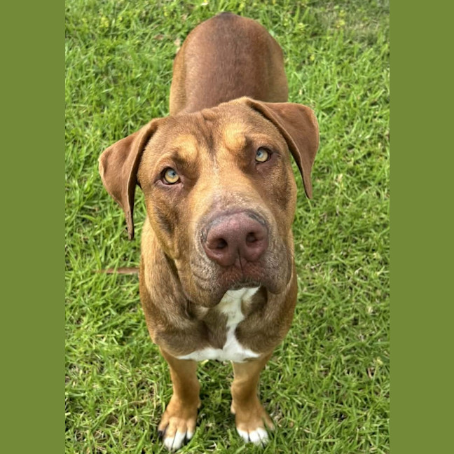 Photo of Benny
