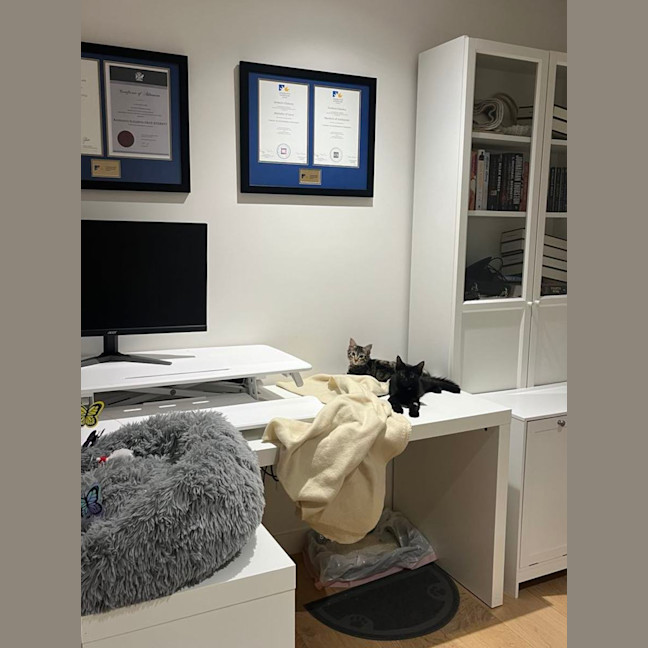 Photo of Snapdragon *Adoption Pending*