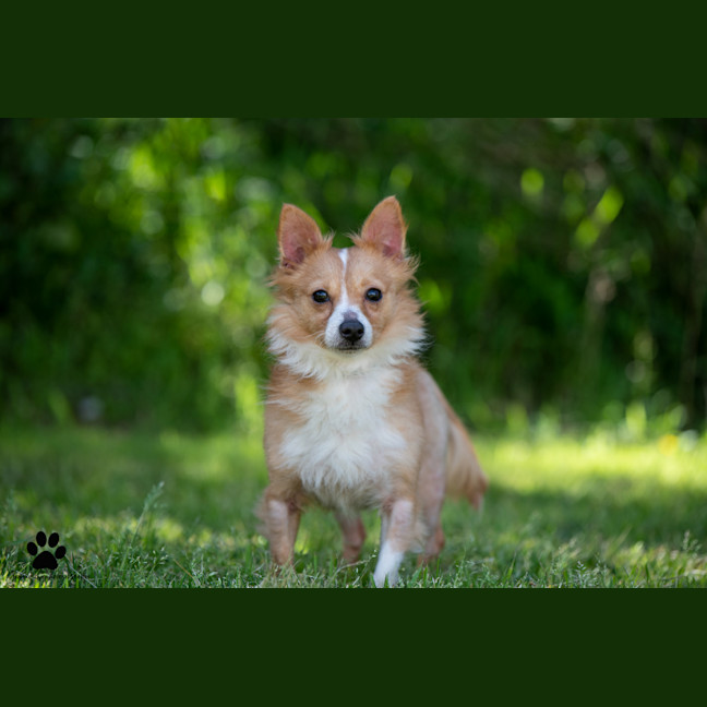 Photo of Leon