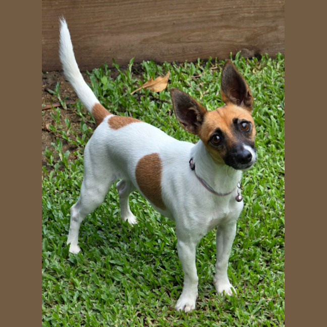 Photo of Tully And Rose