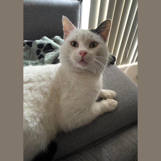 Photo of Bosco