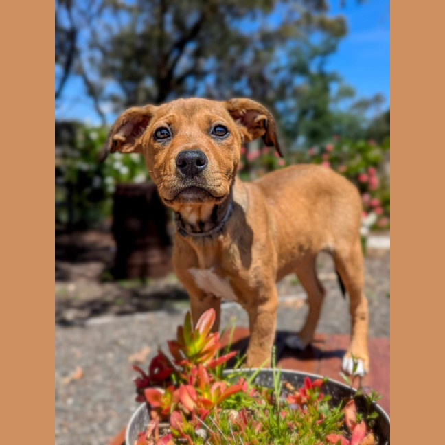 Photo of Annabelle