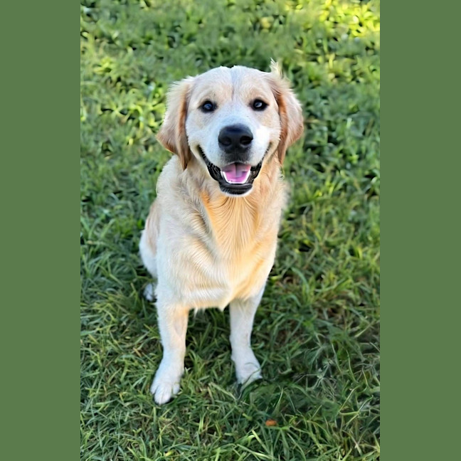 Photo of Olli