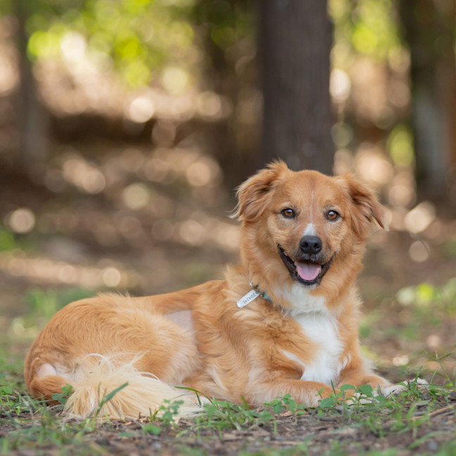 Photo of Buttons