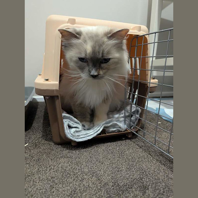 Photo of Betty