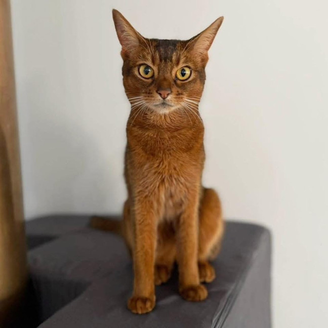 Photo of 13142   Effie 