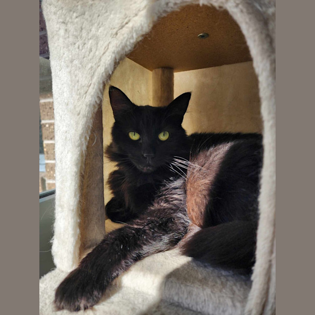 Photo of 🍓 Miriam 5923 🍓