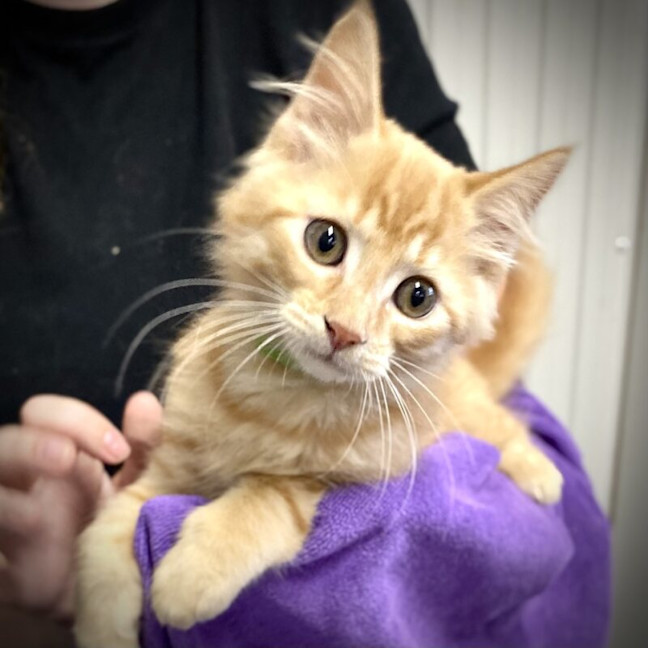 Photo of Calvin