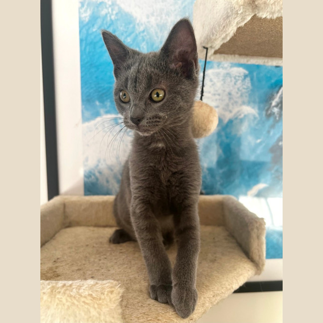 Photo of Elsie