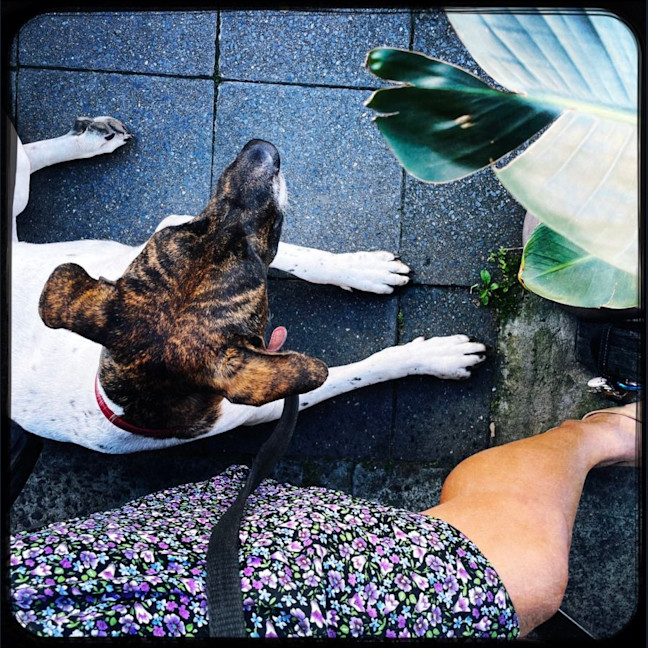 Photo of 💗 Sally 💗