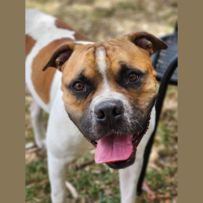 Photo of 🥯 Crumpet 5721 🥯