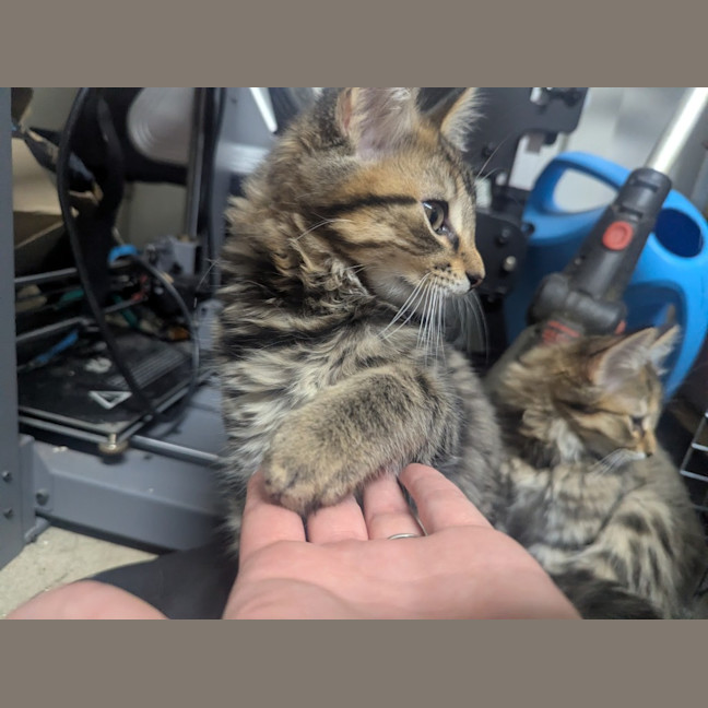 Photo of Riddle Clowder