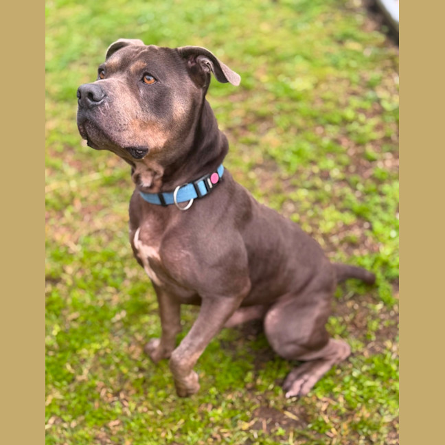 Photo of Bud