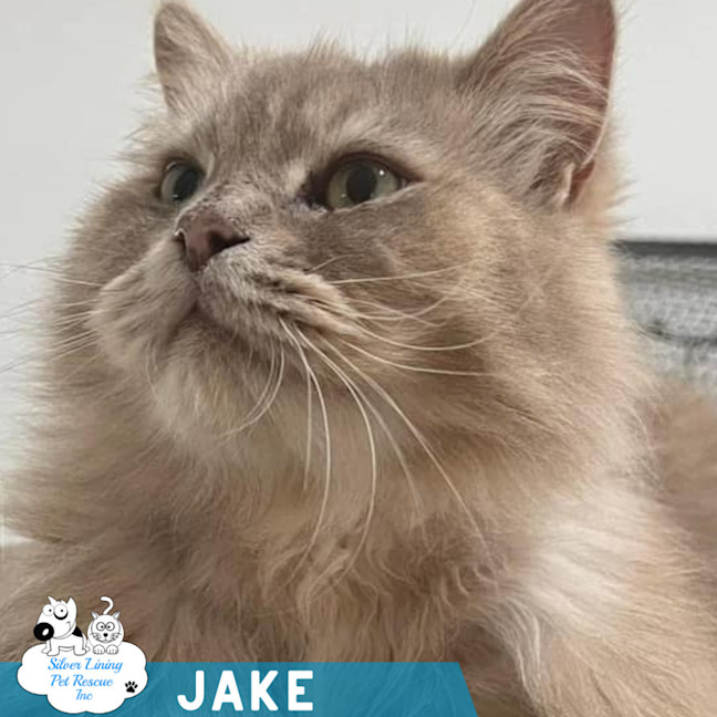 Photo of Jake