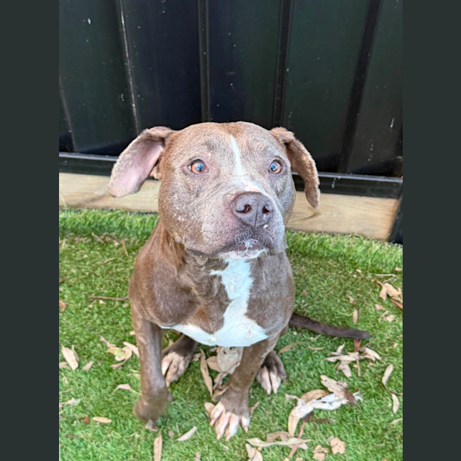 Photo of Moxie