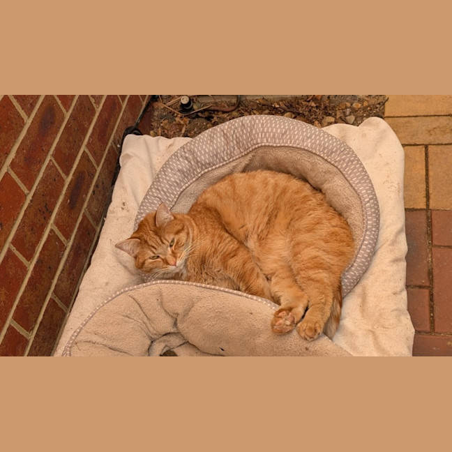 Photo of Jasper