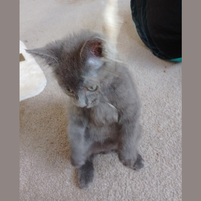 Photo of Storm