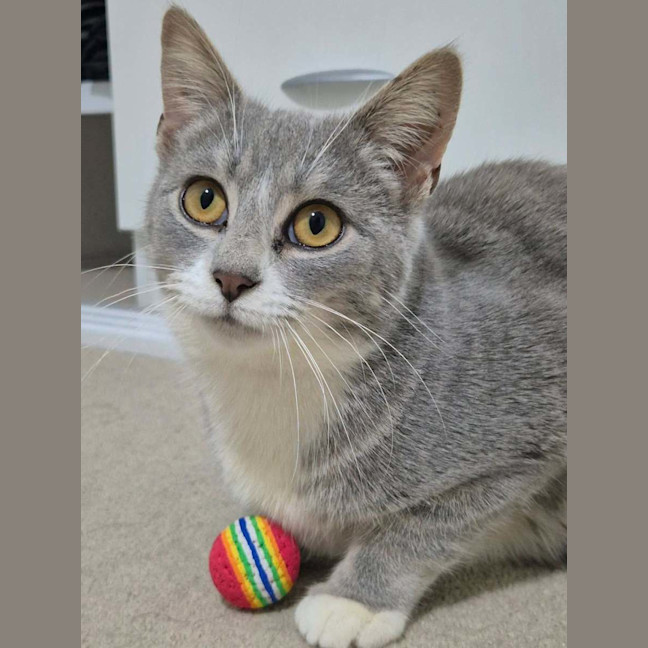 Photo of Heidi