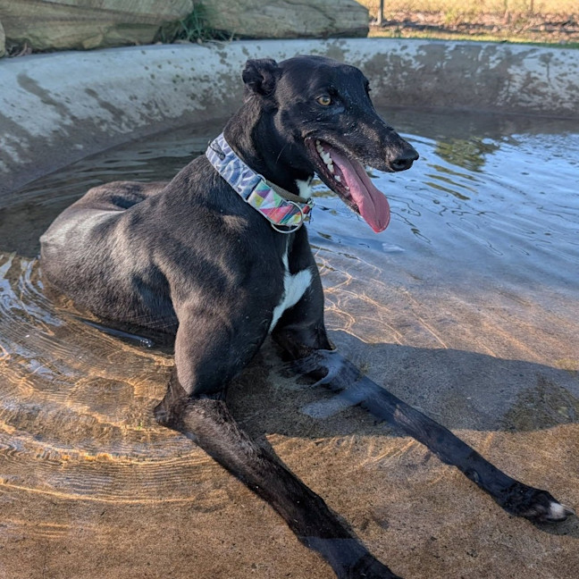 Photo of Zeus