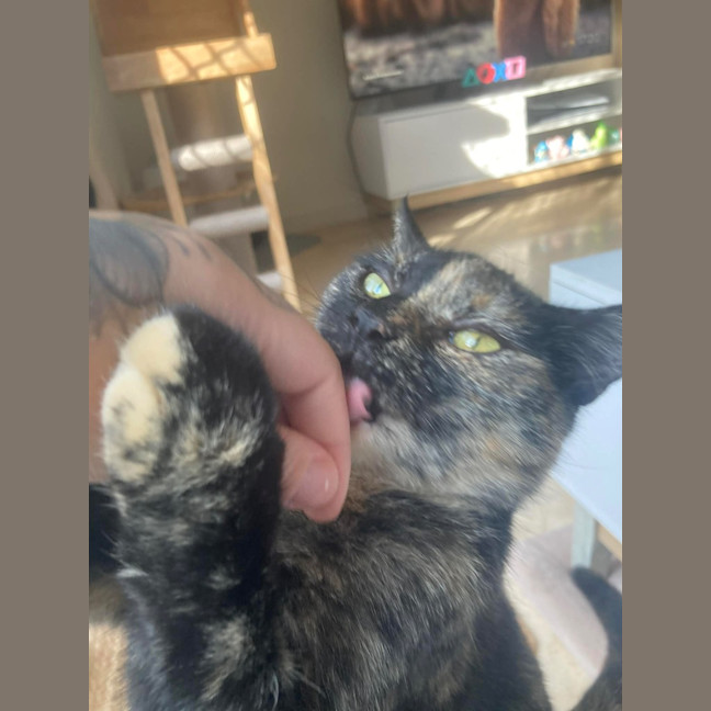 Photo of Chirp Side Park Shopping Centre