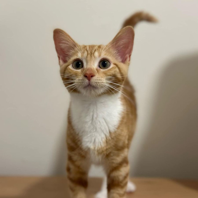 Photo of Mabel And Clifford