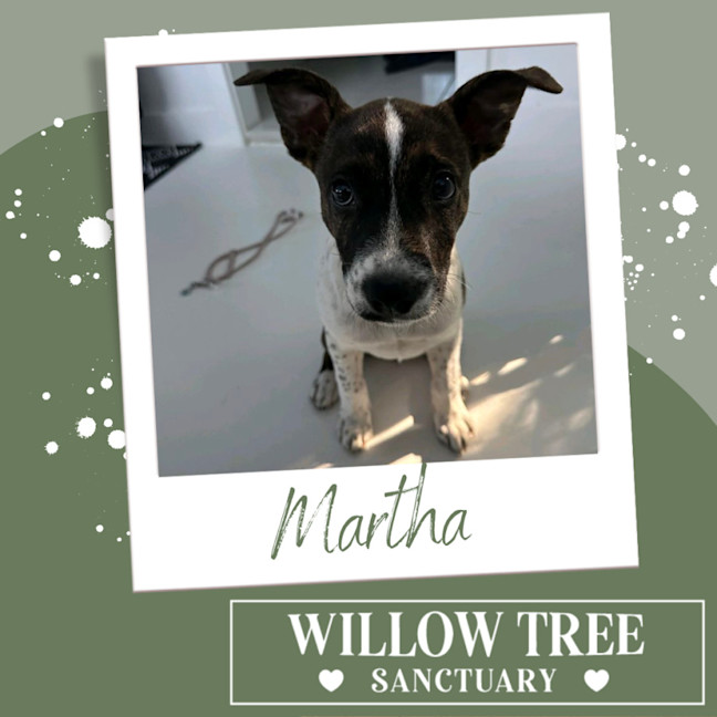Photo of Martha
