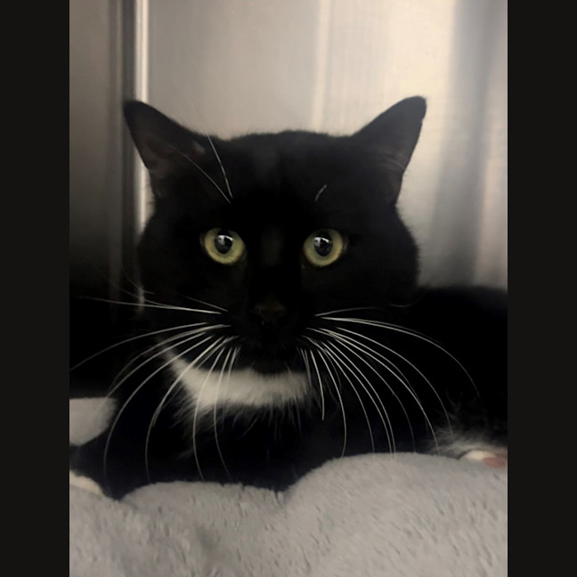 Photo of Clemmy