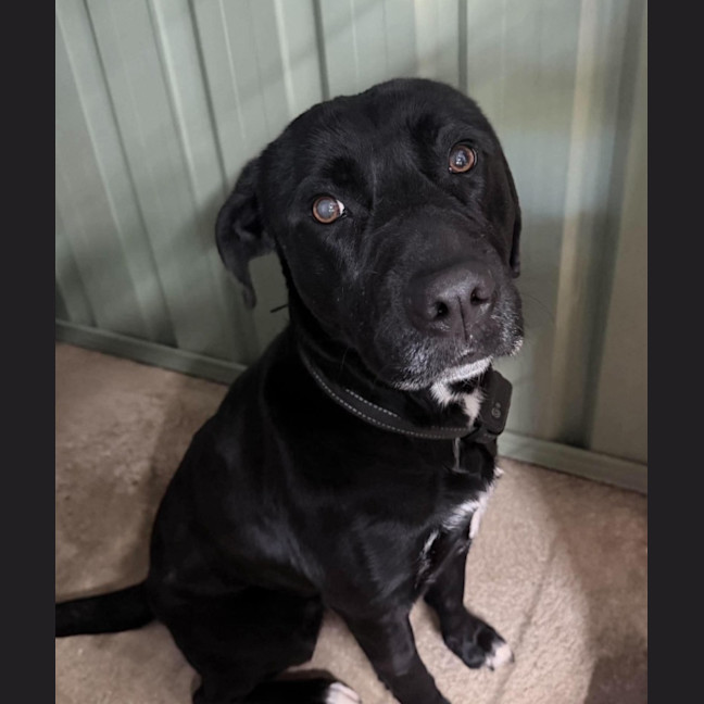 Photo of Missy