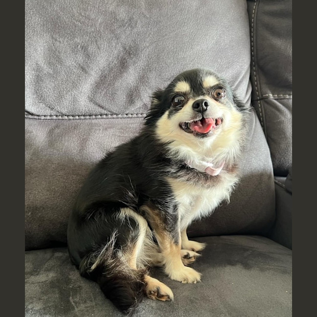 Photo of Ruby & Cinnamon