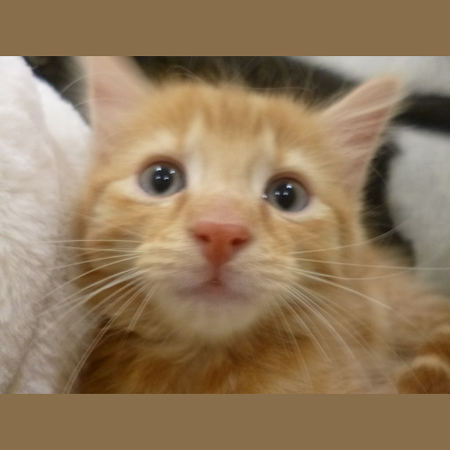 Photo of Lucifer