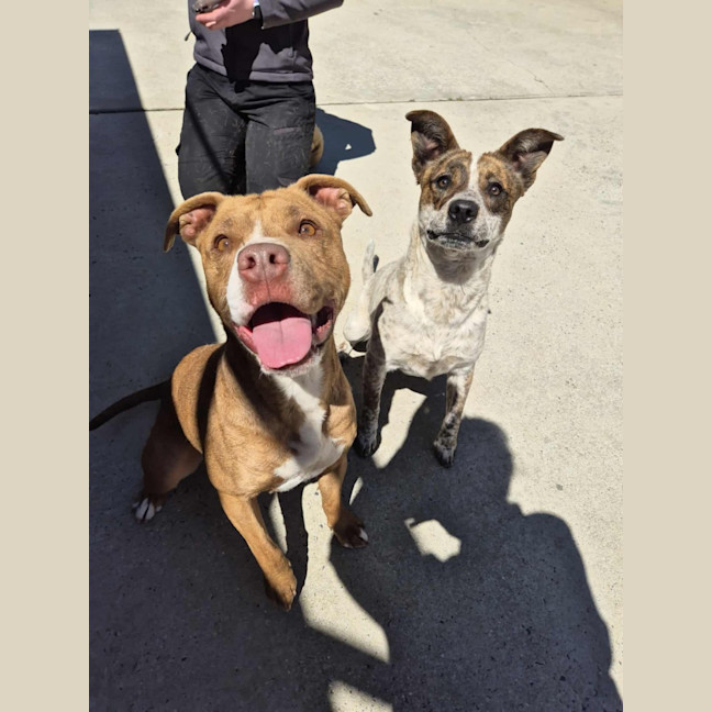 Photo of Skylar! 🌈