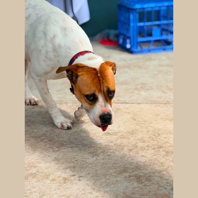 Photo of Molly