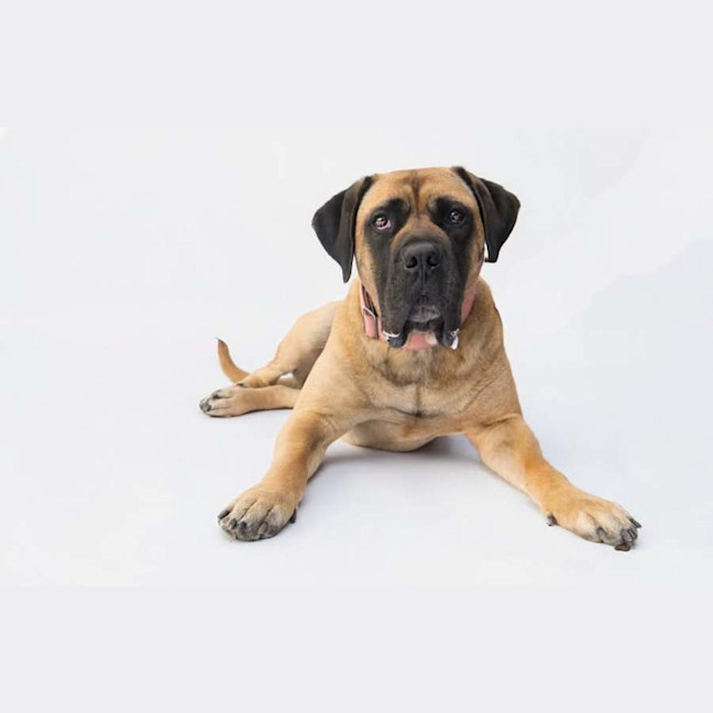 Photo of Russell