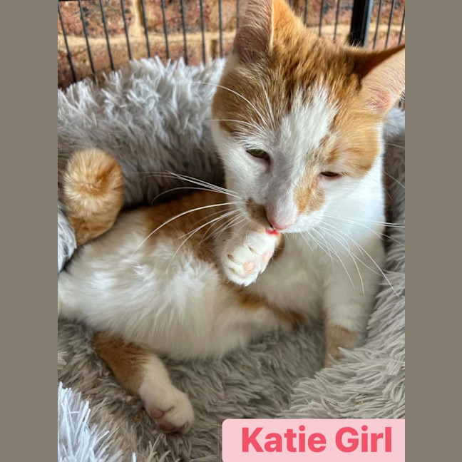 Photo of Katie Girl