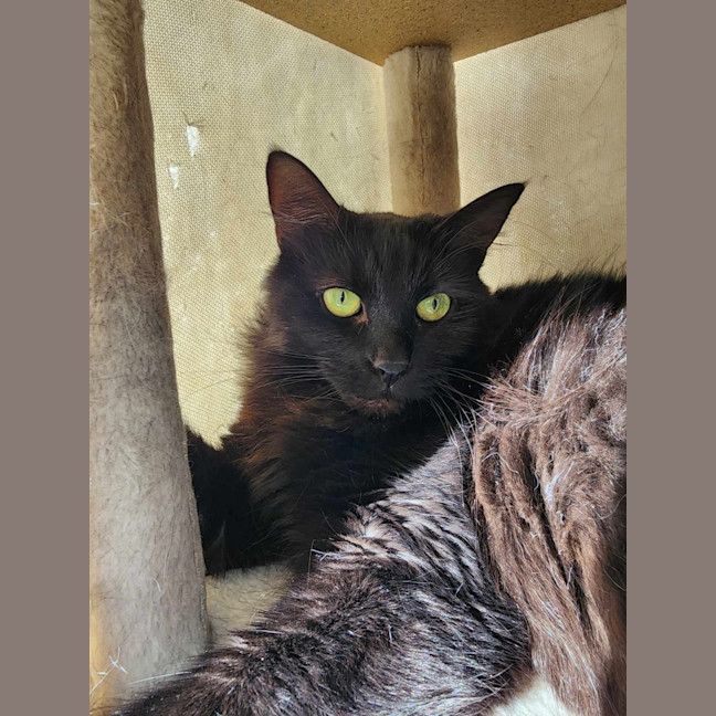 Photo of 🍓 Miriam 5923 🍓