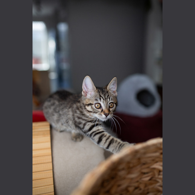 Photo of Stacys Brother