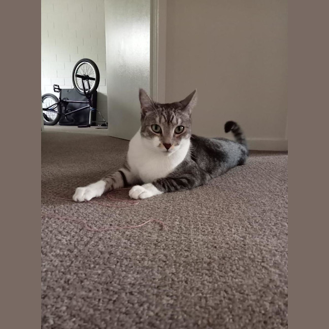 Photo of Ellie