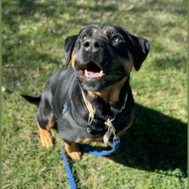 Photo of Molly