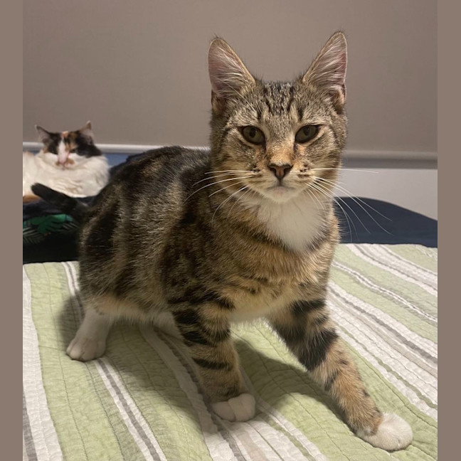 Photo of Cash
