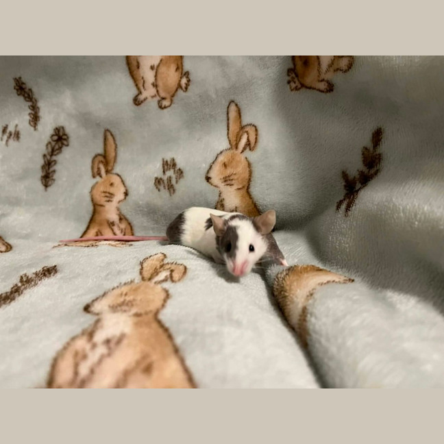 Photo of Hank & Joel