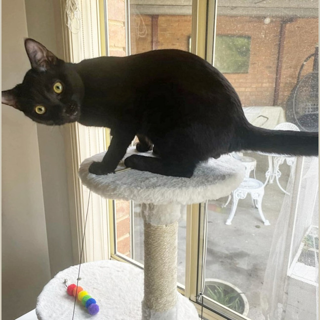 Photo of Bort 🖤