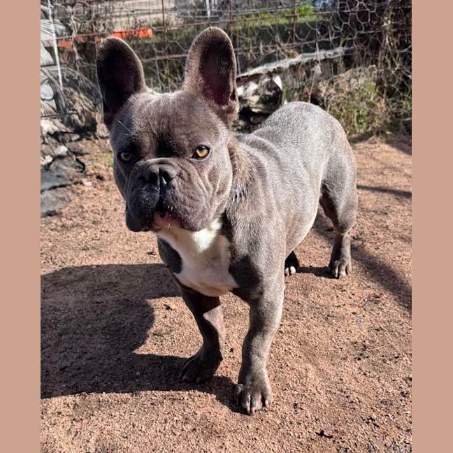 Photo of Hugo