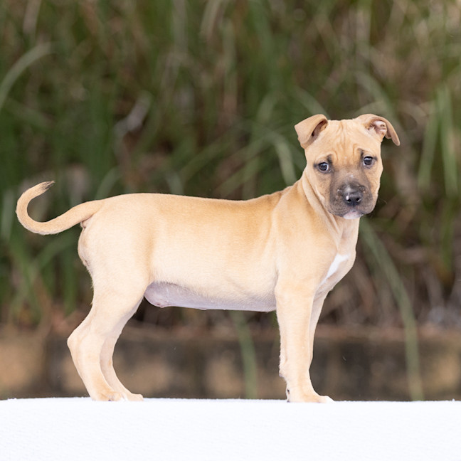 Photo of Winnie