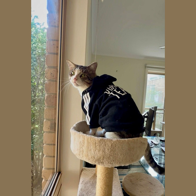 Photo of Hermes